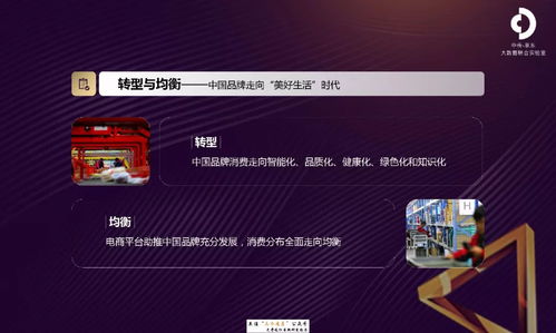 京東2018互聯(lián)網(wǎng)中國品牌發(fā)展報告 互聯(lián)網(wǎng)銷售的新紀元