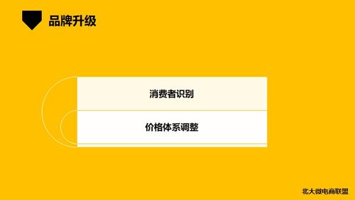 北大微電商聯(lián)盟 移動互聯(lián)網(wǎng)時代的企業(yè)IP與品牌營銷新路徑